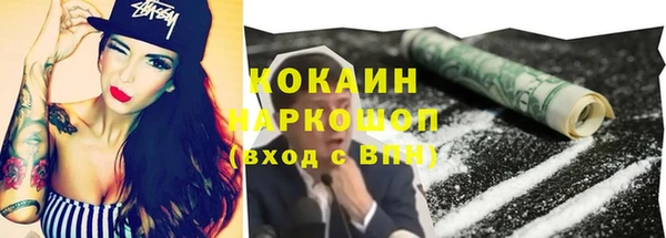 прущие грибы Богородск