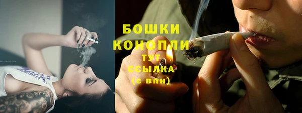 ALPHA-PVP Богородицк