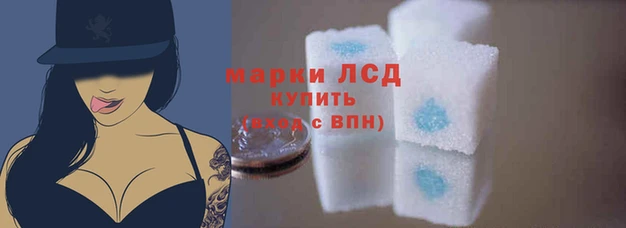 прущие грибы Богородск