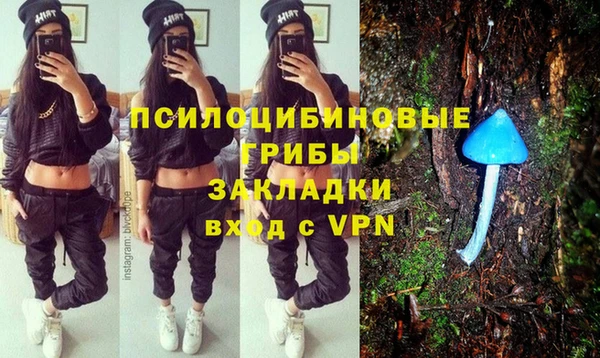 ALPHA-PVP Богородицк