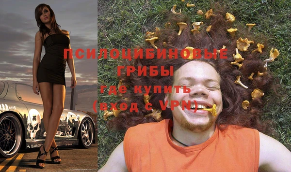 ALPHA-PVP Богородицк