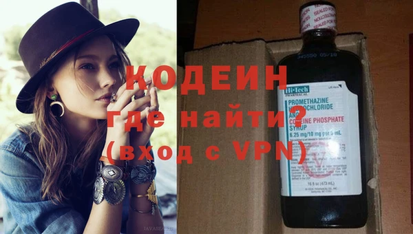 прущие грибы Богородск
