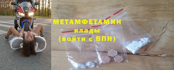 прущие грибы Богородск