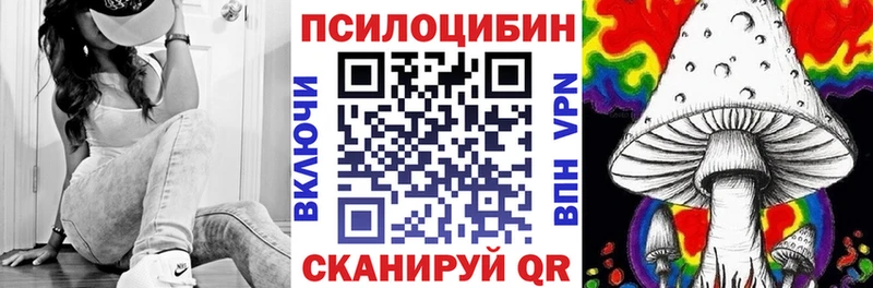 OMG зеркало  дарнет шоп  Егорьевск  Галлюциногенные грибы мухоморы 